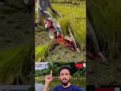 চমৎকার ধান কাটা মেশিন 🔥😱 #shorts #ytshorts #viralreels #OMG #viral #trending #machine