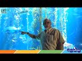 Marine Ecosystems and Conservation Concepts