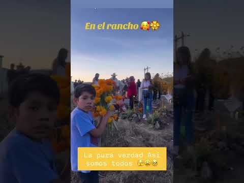 1 de noviembre de 2025