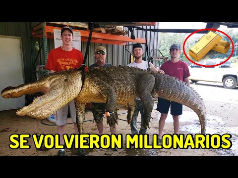 Abrieron un Cocodrilo y No vas a Creer lo que Encontraron