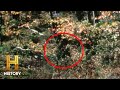 Exploring Alaska and Bigfoot Encounters