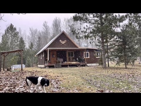 Minnesota Homestead: Bringing Our Newborn Baby Home For The First Time