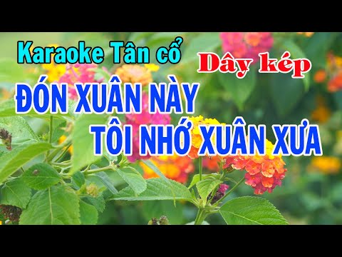 Karaoke Tân cổ ĐÓN XUÂN NÀY TÔI NHỚ XUÂN XƯA – DÂY KÉP [Nhạc Châu Kỳ – Vc Ngọc Phúc]