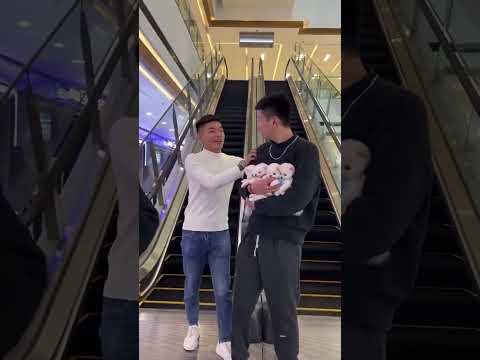 🥰🐶🥰 मिलो बेहद क्यूट और सुंदर सी पप्पी से 🥰🐶🥰#trending #shortvideo #puppy