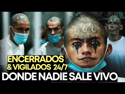 El SALVADOR HOY 🟦 Lo Que Ocurre Dentro del CECOT, Noticias de El Salvador - La Cruda Realidad 🇸🇻