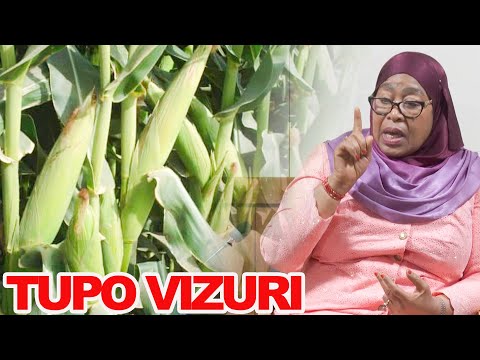 TANZANIA TUNA UHAKIKA CHAKULA KWA 128%, SAMIA: TUNAWEZA KUZALISHA ZAIDI NA KULISHA AFRIKA NA DUNIA