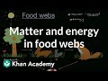 Ecosystem Roles and Energy Flow