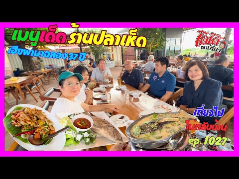 ปลาช่อนโฮกฮือ กินปลาเห็ดร้านคุณสันติสุข เฮียวันชัยพามาฉลอง 37 ปี เที่ยวไปไม่กลับบ้าน ep.1027