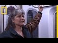Exploring the Subway Experience