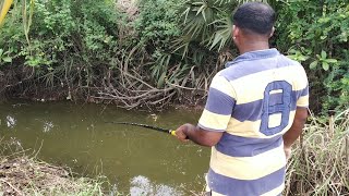 చిన్న పంట బోదులో పిత్త పరుగులు | rohu fish లు కూడా దొరికాయి | #kkpfishingvlogs