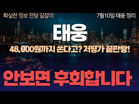 이 종목 안 보면 진짜 후회합니다 저평가 끝판왕 등장!