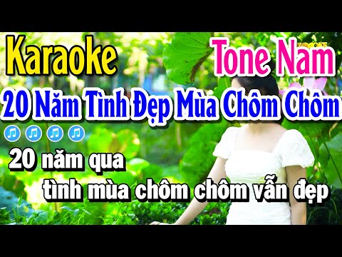 Karaoke 20 Năm Tình Đẹp Mùa Chôm Chôm | Nhạc Sống Tone Nữ