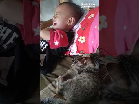 Kucingnya becandain dede sampe nangis #kucinglucu #shorts