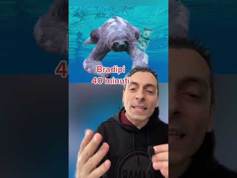 PER QUANTO TEMPO GLI ANIMALI POSSONO TRATTENERE IL RESPIRO SOTT'ACQUA? ATTENTI ALL' ULTIMO !