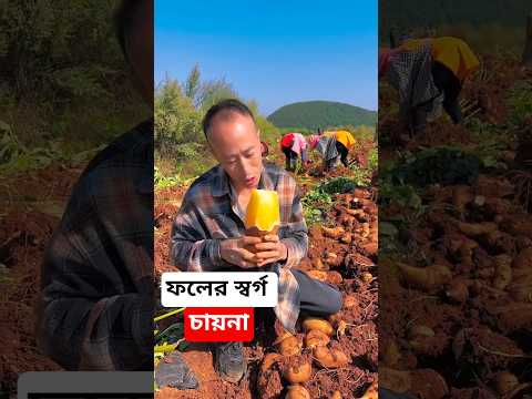 āĻāϤ⧠āĻĢāϞ! đ āĻĻā§āĻā§ āĻŽā§āĻā§āϧ āĻšāĻŦā§āύ đ