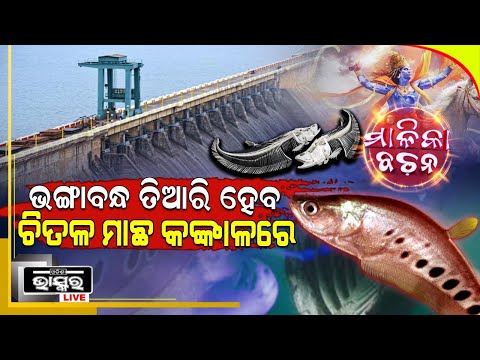 ୨୦୨୬ ରେ ଭାଙ୍ଗିବ ହୀରାକୁଦ ବନ୍ଧ, ଚିତଳ ମାଛ ହାଡରେ ହେବ ନୂଆ କବାଟ ବଦଳିବ କଟକ ନାଁ ଆଉ ବୁଲିବେ ଚଣ୍ଡୀ ଚାମୁଣ୍ଡା
