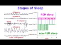 Sleep Stages and Functions