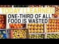 Understanding Food Waste and Its Implications
