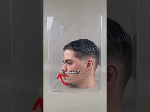 Comment cet homme a-t-il réussi à mouler sa tête avec précision et sécurité?