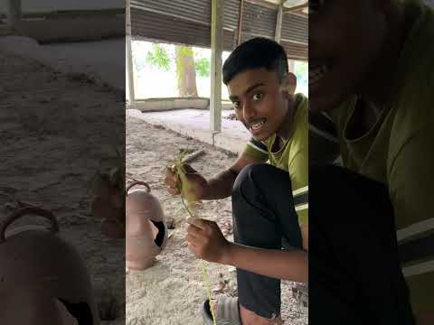 গর্ত থেকে ফাটক আর ধান দিয়ে সাপ ধরলাম #new #minivlog #vlog #challenge #ytshorts