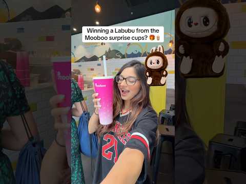 😱 MOOBOO SURPRISE CUPS??