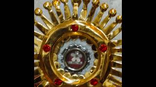 LOAF Spiritual with  Plenary Indulgence @ MMB Provincial House & MMB Mission Home Ashram Mariapuram