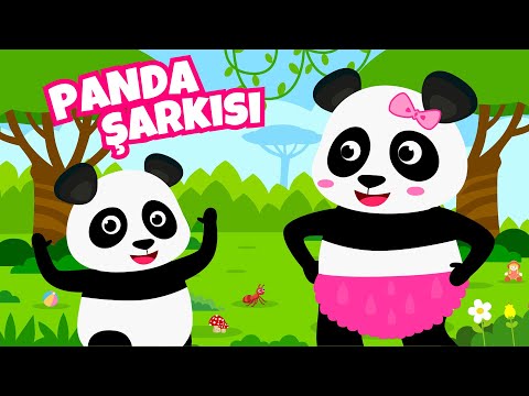 Pandamın İki Kulağı Var (YENİ) - Tekerleme Şarkıları - Nursery Rhymes
