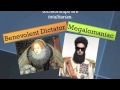 Dictatorship and Totalitarianism Concepts
