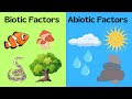 Exploring Biotic and Abiotic Factors