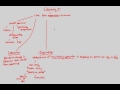 Digger Wasps and Animal Behavior