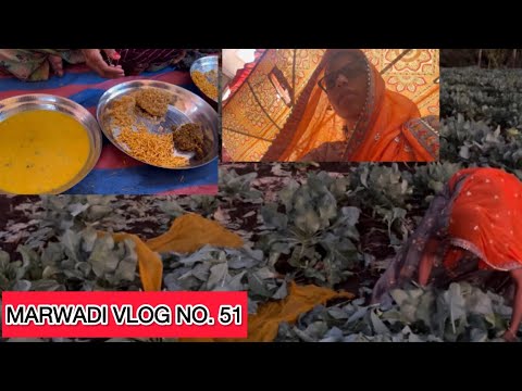 Marwadi vlog no. 51// मारवाड़ रो देशी जीमन है (खाटो,लापी,चावल,मोठ)