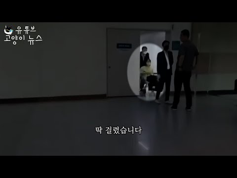 김건희 구라 휠체어 걸렸습니다