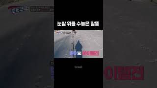 [#노는언니] 차디찬 눈밭을 따뜻하게(?) 만든 말💩 #Shorts