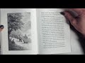 Buck's Journey and Key Lessons