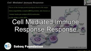 Cell  Mediated Immune Response