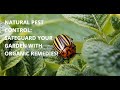 Natural Pest Control Methods