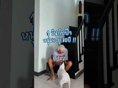 1 วันกับป๊าาาา 🤪💙 #somethingaboutcc #พ่อฉันผู้ทำเองทุกอย่าง