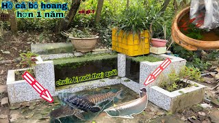 Dọn vệ sinh cho Hồ Cá Bỏ Hoang chuẩn bị rước Thuỷ Quái về nuôi và mua thêm rất nhiều Cá / Bảo pet