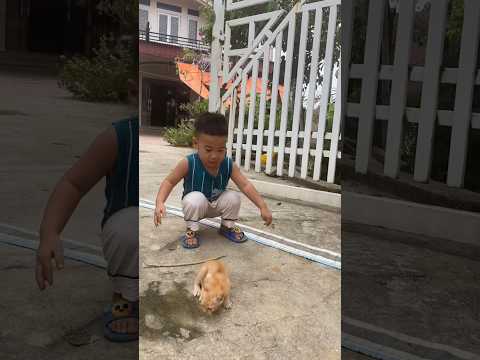 poor kitten | abandoned cat #cat #catlover #catsshorts #shortvideo #cats