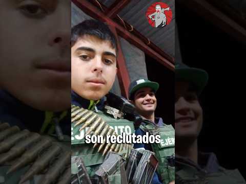 INSOLITO: Reclutan Jovenes y Son Conocidos como "Pollitos de Colores" #shorts #datoscuriosos
