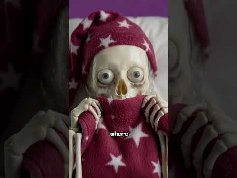 Что на самом деле происходит, когда вы засыпаете? #interesting #facts #sleep