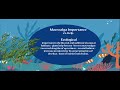 Seagrass and Marine Ecosystems