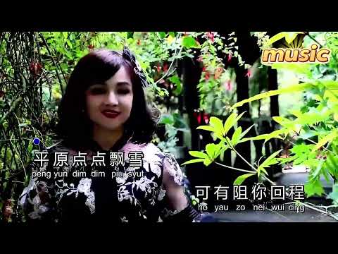 雨中追憶-戴寶珠-KTV 伴奏 no vocal 無人聲 music 純音樂 karaoke 卡拉OK 伴唱雨中追憶-戴寶珠-