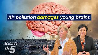 WHO's Science in 5 - Air pollution damages young brains - 2 July 2025