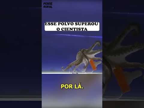 ESSE POLVO SUPEROU O CIENTISTA #shorts