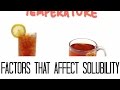 Exploring Factors Influencing Solubility
