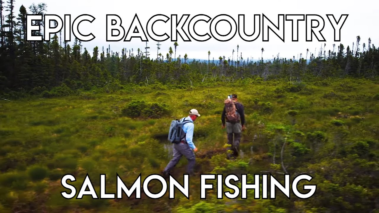 Epic & Challenging Backcountry Salmon Fishing - The New Fly Fisher