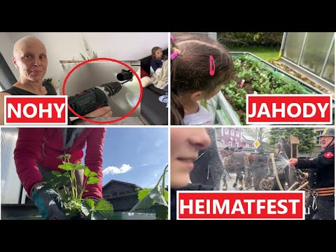 JAHODOVÝ ZÁHON,  NOŽKY NA KOMODU, HEIMATFEST | MamaVlog#660 | Máma v Německu