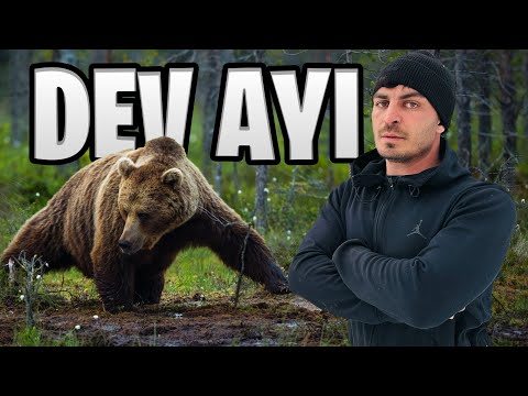 AYILARLA DOLU ORMANDA HAYATTA KALMAK!!
