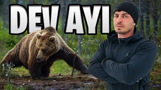 AYILARLA DOLU ORMANDA HAYATTA KALMAK!!